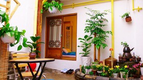 Han OK Guest House 201
