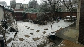 Han's House