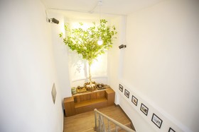 Cocoa Guesthouse