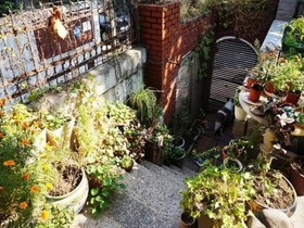 Hongdae Olive Guesthouse