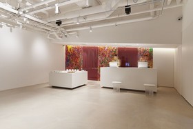 Hotel Anteroom Seoul