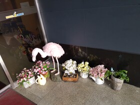 Hotel At Home