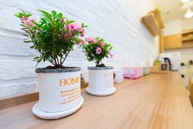 Hotel Gaon