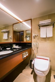 Hotel Grand Ambassador Seoul – Associated with Pullman