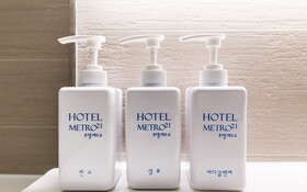 Hotel Metro 21