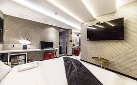Hotel Metro 21