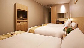 Hotel Skypark Central Myeongdong