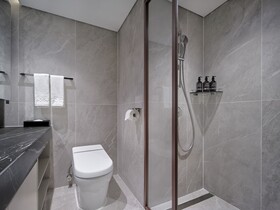 Hotel The Botanik Sewoon Myeongdong