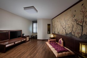 ibis Ambassador Seoul Myeongdong