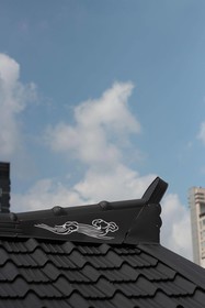 ICOS Guesthouse 1 Female Only