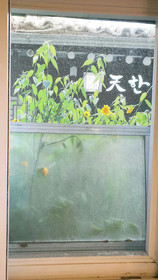 K Guesthouse Insadong Hostel