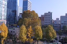K-guesthouse Sinchon 2