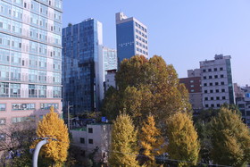 K-guesthouse Sinchon 2