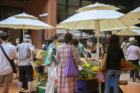 Localstitch Seogyotown