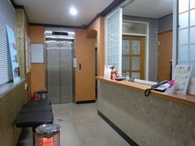 Petercat Hotel Hongdae