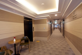 Floral Hotel Namsan City Seoul Myeongdong