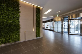 Nine Tree Premier Hotel Myeongdong II