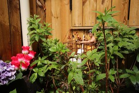 Ohbok Guesthouse