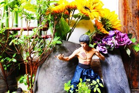 Ohbok Guesthouse