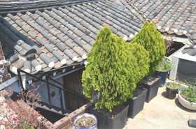 Raon Guest House Jongno