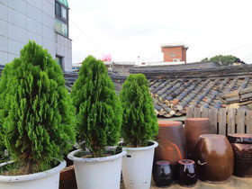 Raon Guest House Jongno