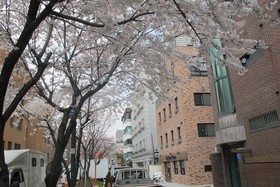 Roi Guest House