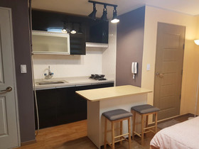 Ryu Guest House