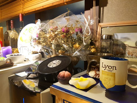 Ryu Guest House