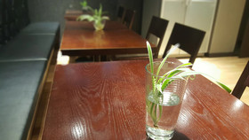 Ryu Guest House