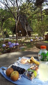 Seoul Forest Guesthouse