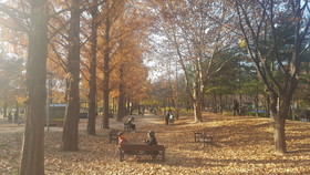 Seoul Forest Guesthouse