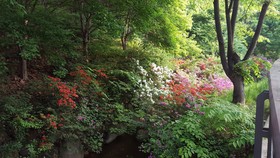 Seoul Forest Guesthouse
