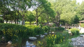 Seoul Forest Guesthouse