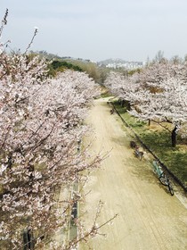 Seoul Forest Guesthouse