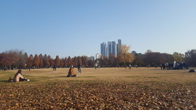 Seoul Forest Guesthouse