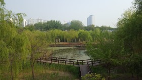 Seoul Forest Guesthouse