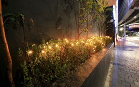Wolgok Hotel Baro