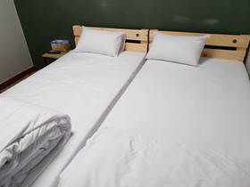 Young Stay Hostel