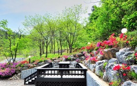 Pension Olive Spa