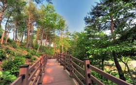 Pension Olive Spa