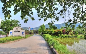 Pension Olive Spa