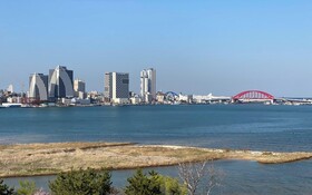 Sokcho Dragonfly Hotel