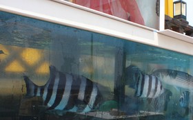 Ulsan Dreaming Sea Pension