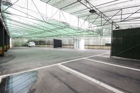 Yangsan Deokgye Show