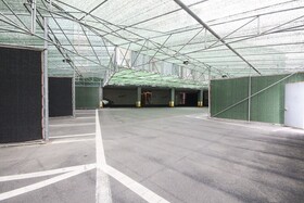 Yangsan Deokgye Show