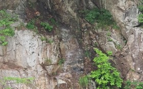 Yangyang Aria Pension