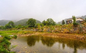 Yangyang Goyohan Kkottteul Pension