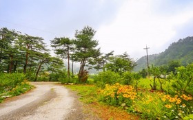 Yangyang Goyohan Kkottteul Pension