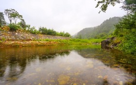 Yangyang Goyohan Kkottteul Pension