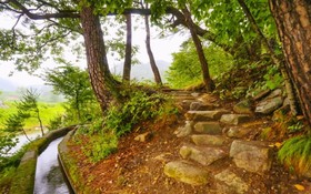 Yangyang Goyohan Kkottteul Pension